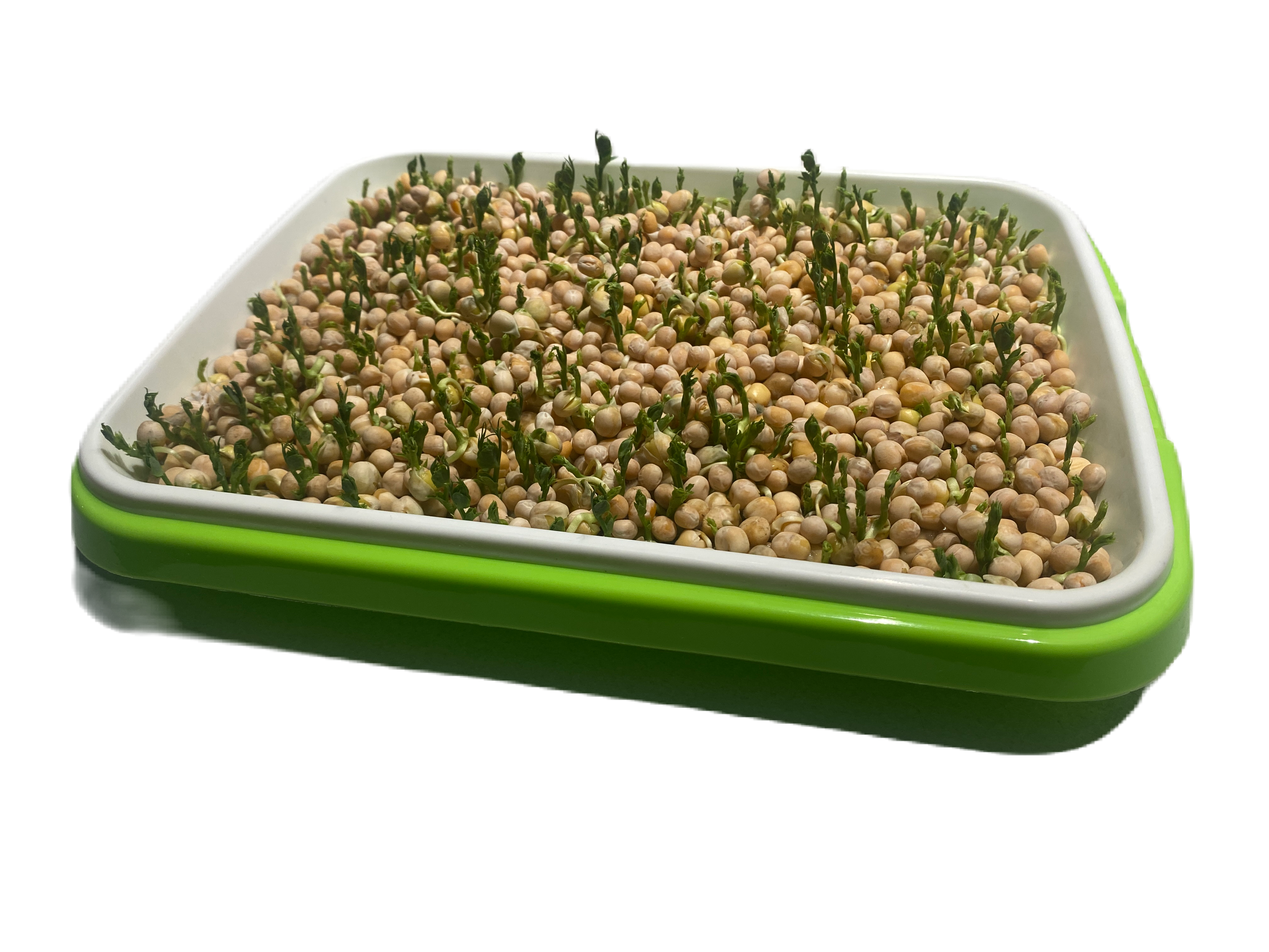 Nursery - for 88 seedlings or for sprouting microgreens