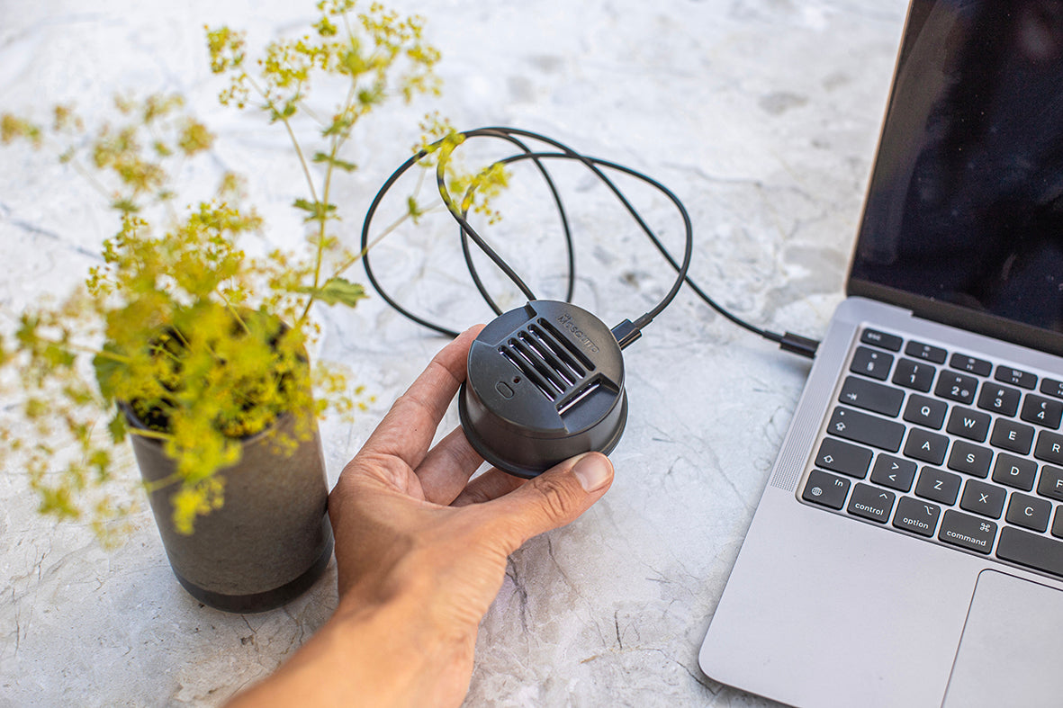 MR Mosquito USB-C DRIFT - Används inomhus, utrustad med timer och indikatorlampa för enkel användning.