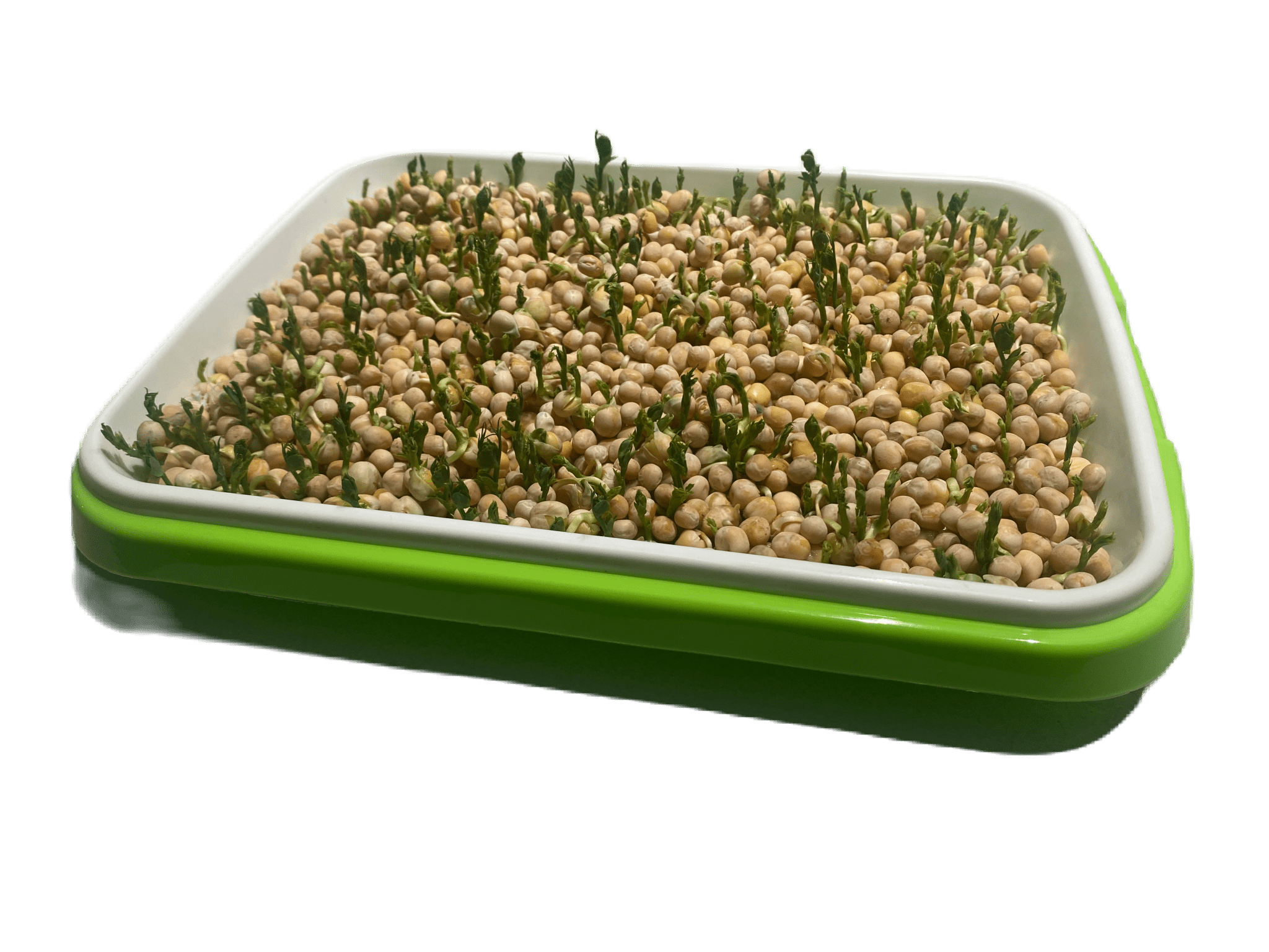 Plantskolan - för 88 plantor eller för groddning av microgreens - Mylar.se