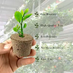 Coconut Fiber Planting Plug 50 mm - 20-pack