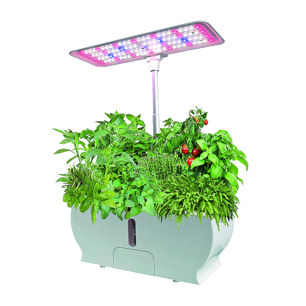 Kitchen Express Large