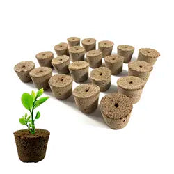 Odlingsplugg av Kokosfiber 50 mm - 20-pack