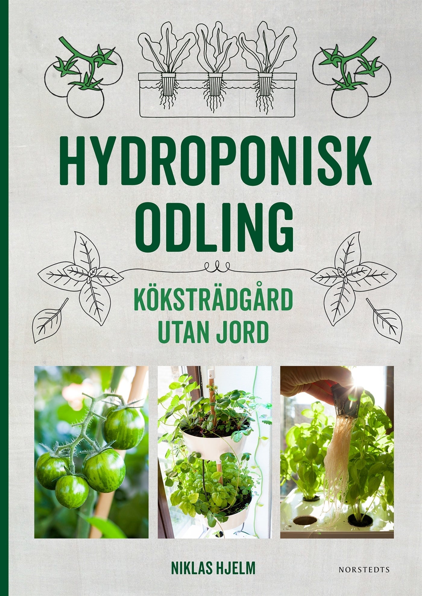 Hydroponisk odling : Köksträdgård utan jord - Mylar.se