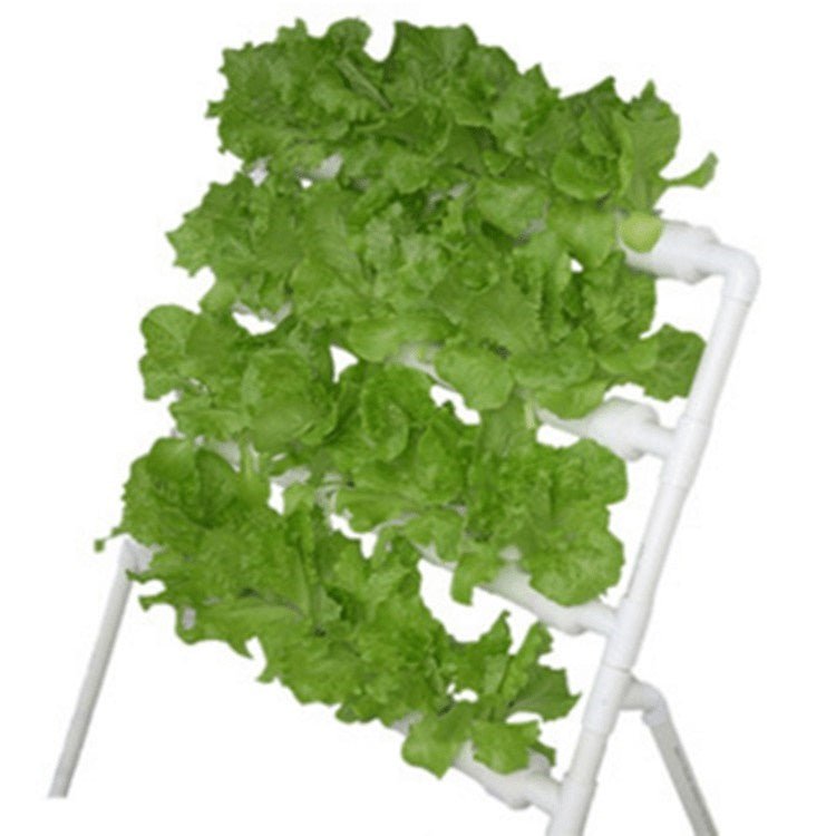 Hydroträdgård 36 plantor - Mylar.se