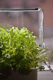 Nivelramppipidike Harvylle, säädettävä