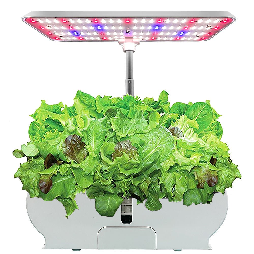 Kitchen Express Large - Mylar.se