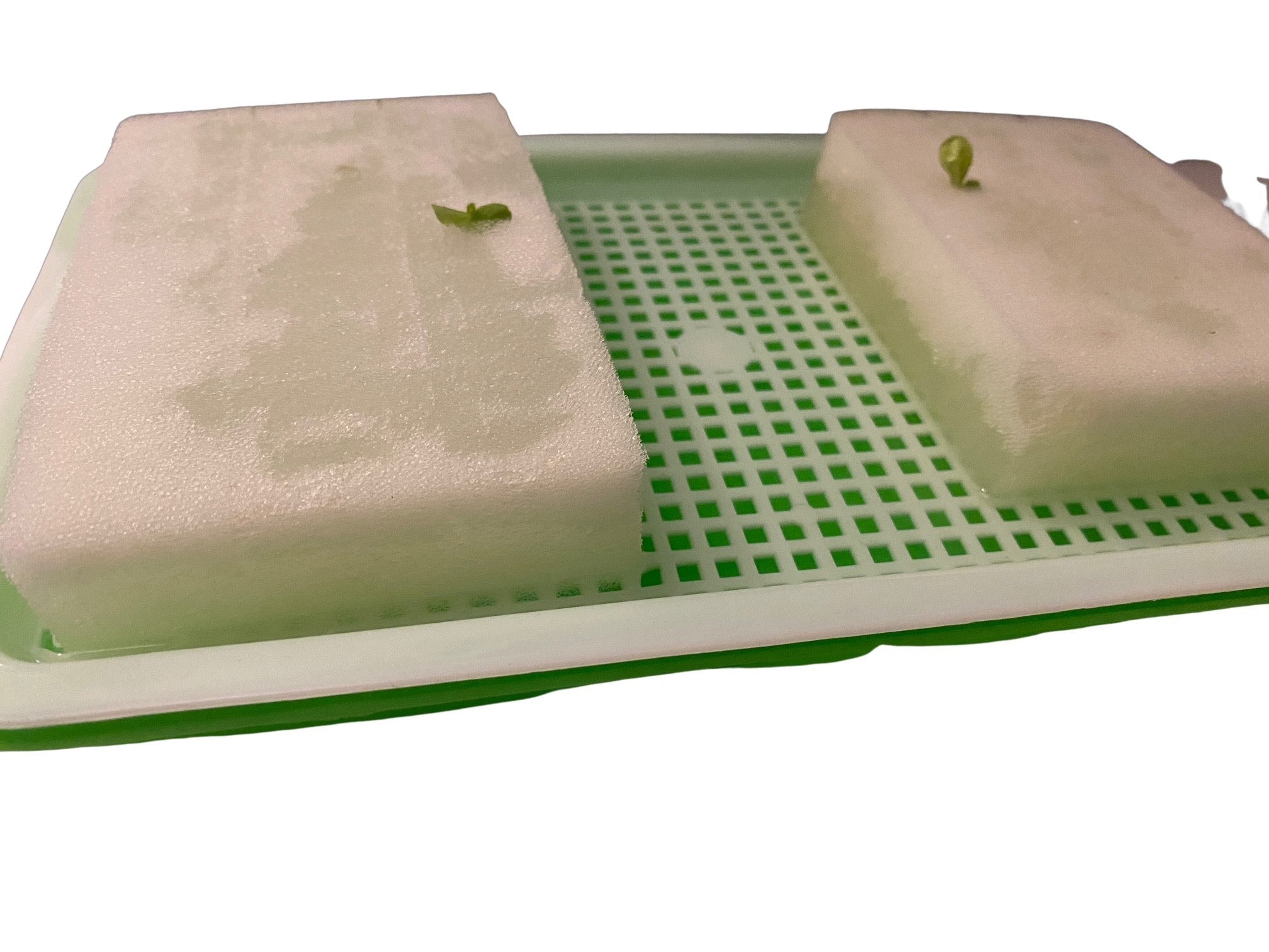 Lilla Plantskolan - för 40 plantor - Mylar.se