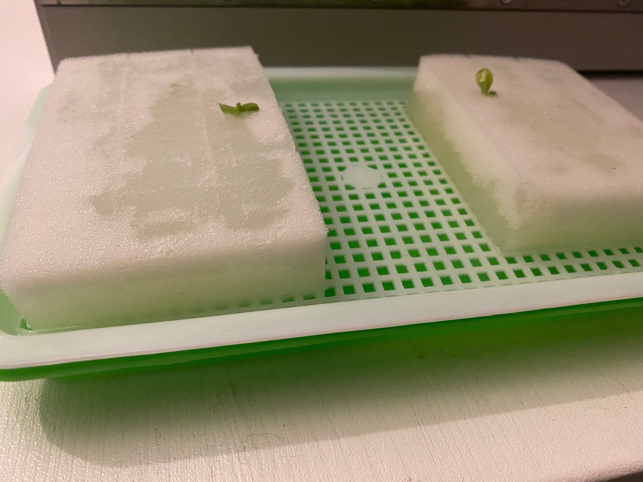 Lilla startpaketet - Hydroponisk odling - Mylar.se