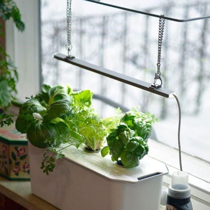 Presentförpackning / Startkit Harvy 3, hydroponisk odling (med belysning)