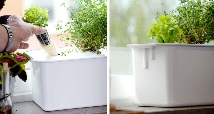 Aloituspaketti Harvy 3 - hydroponinen viljely