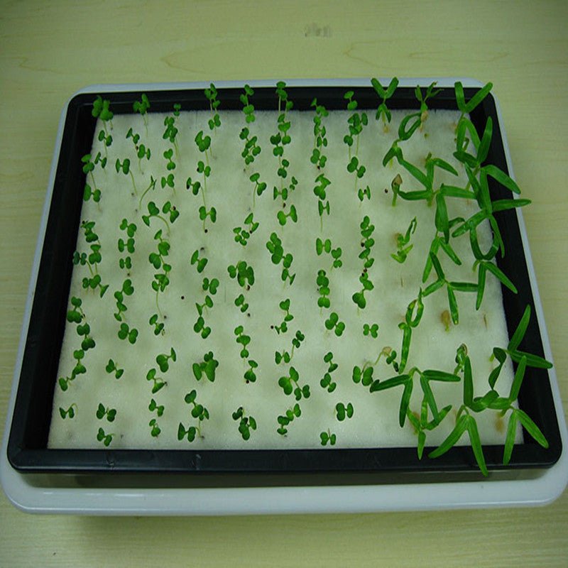 Plantskola - Startkit för 96 plantor - Mylar.se