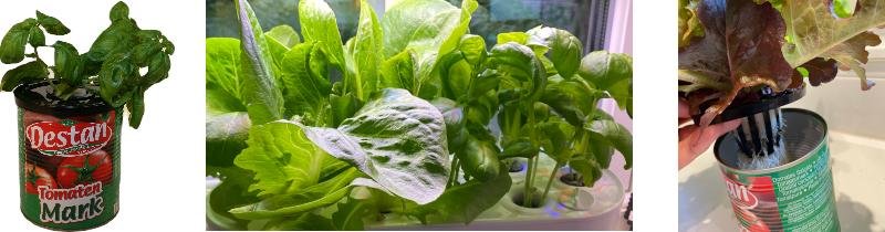 Hydroponisk odling - Mylar.se