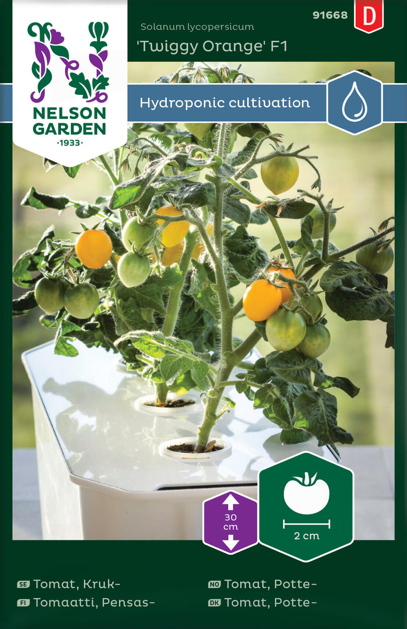 Kirsikkatomaatti 'Twiggy Orange' F1 Nelson Garden 91668