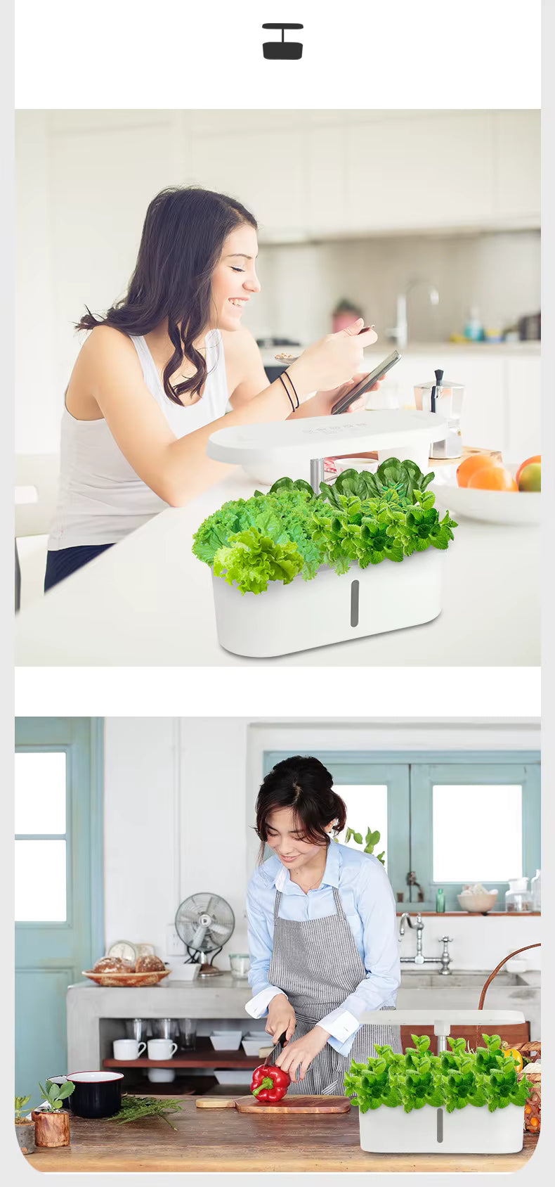 Kitchen Express