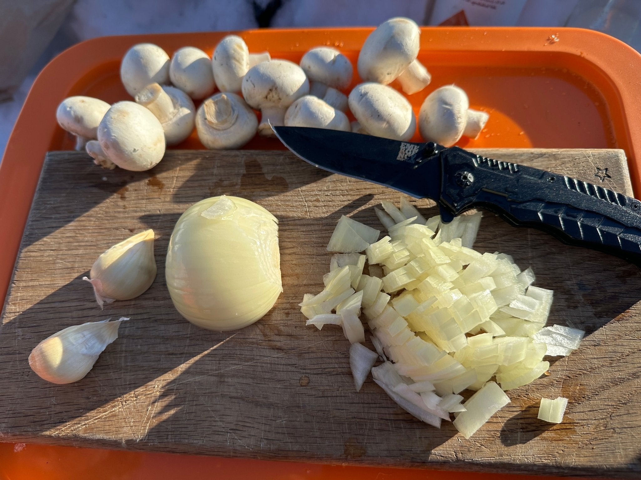 Fällkniv Neo 20,5 cm - Mylar.se