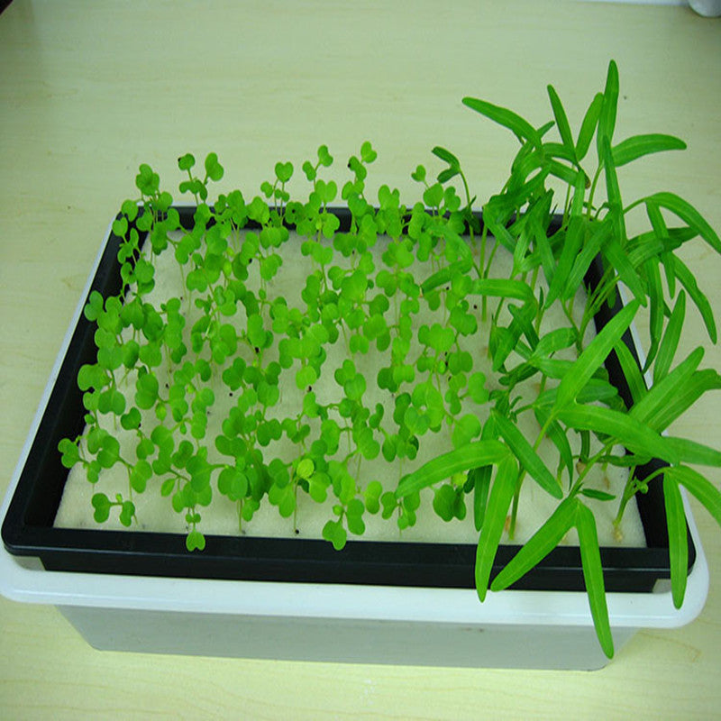 Plantskola - Startkit för 96 plantor