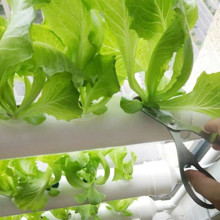 Hydroträdgård 36 plantor - Mylar.se