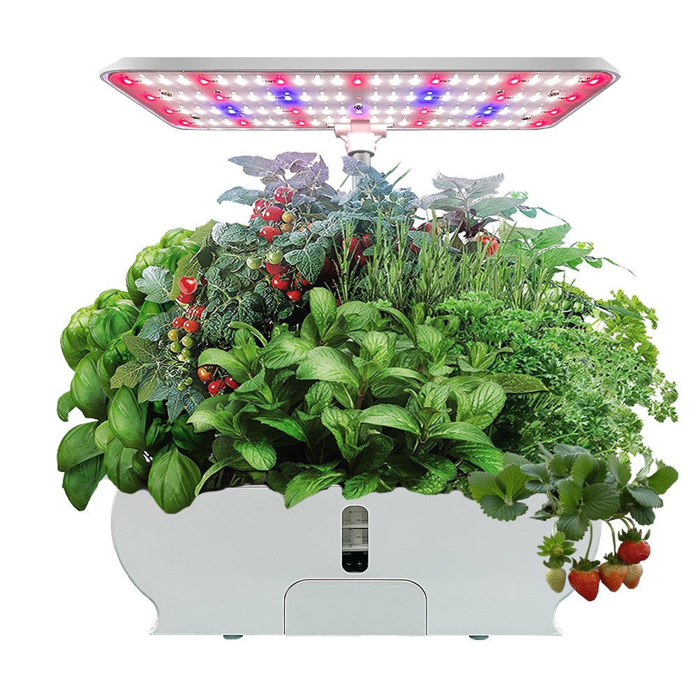 Kitchen Express Large - Mylar.se