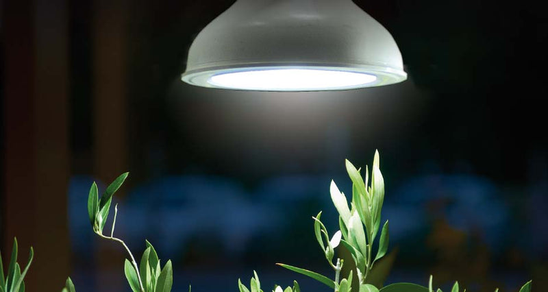 Kasvivalaistus LED-lamppu 18 W Nelson Garden kaapelilla
