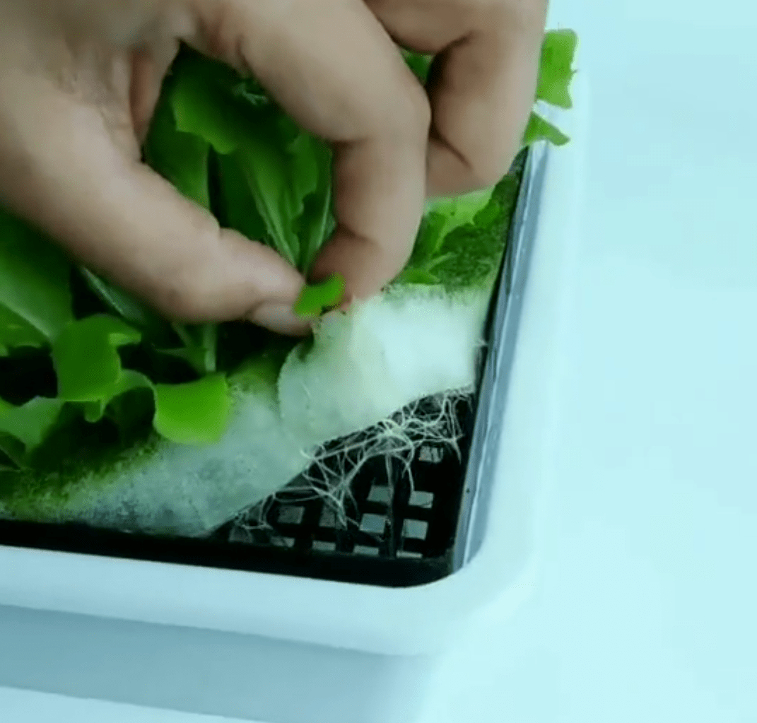 Plantskola - Startkit för 96 plantor - Mylar.se